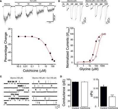 Inhibition of the Glycine Receptor alpha 3 Function by <mark class="highlighted">Colchicine</mark>